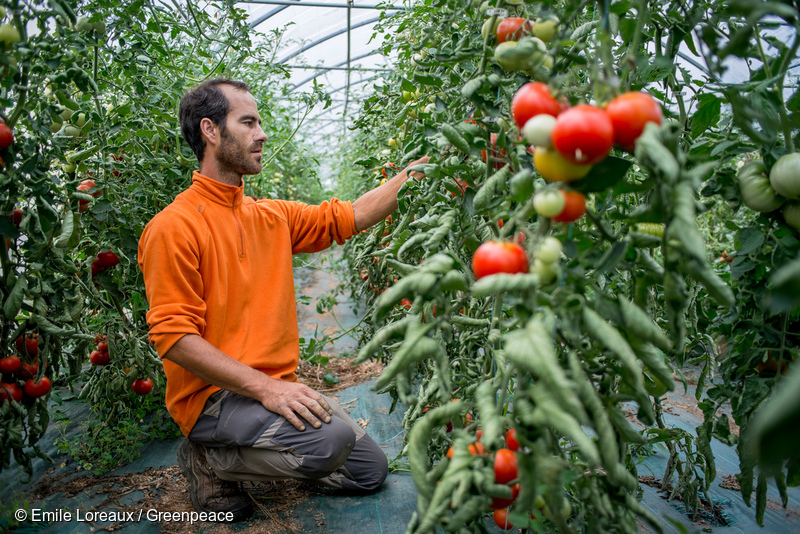 Hambre “a la carta”: 5 formas en que el cambio climático afecta la ...