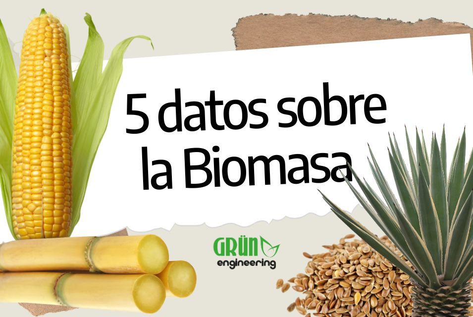 5 datos sobre la biomasa » GRÜN Engineering