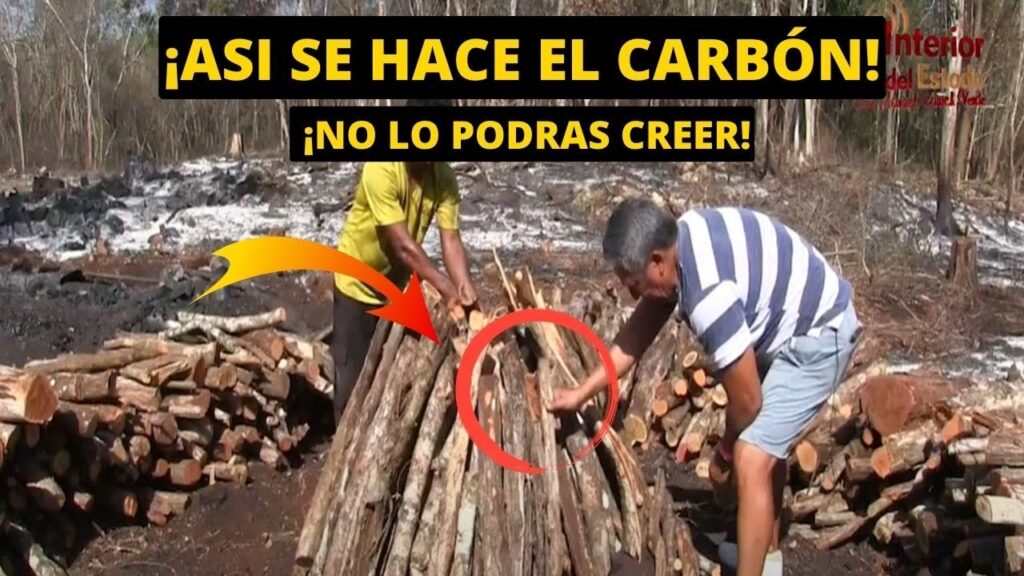 Cómo se hace el carbón en Yucatán