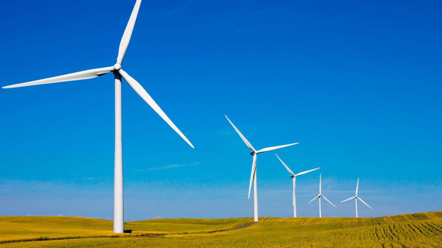¿Energías renovables: el futuro energético?