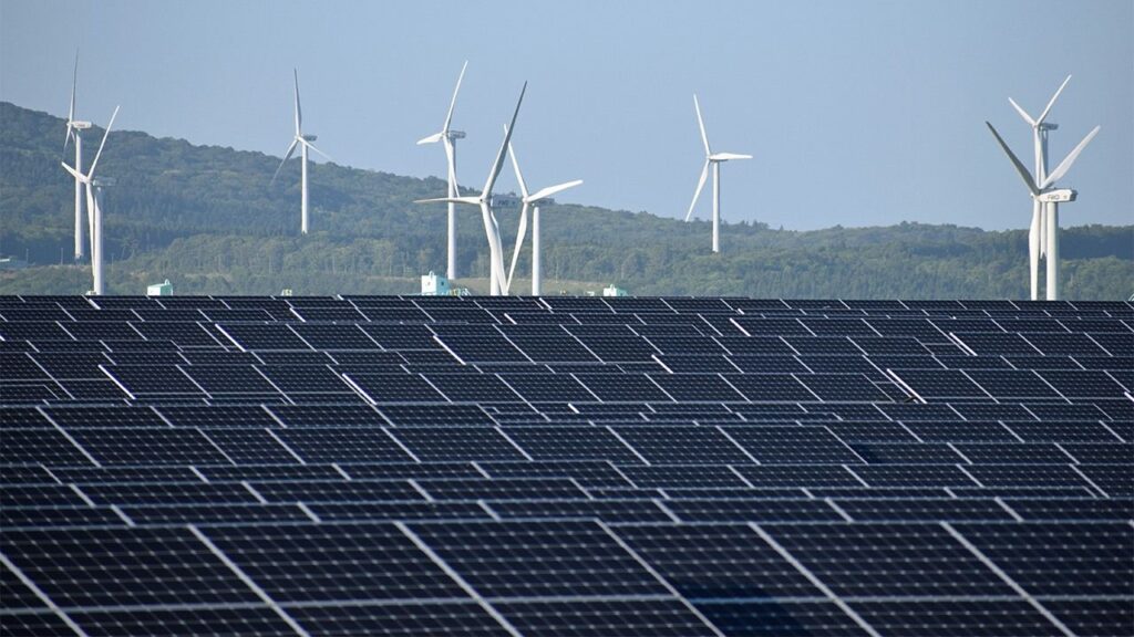 Energías renovables tipos e importancia en la conservación del planeta