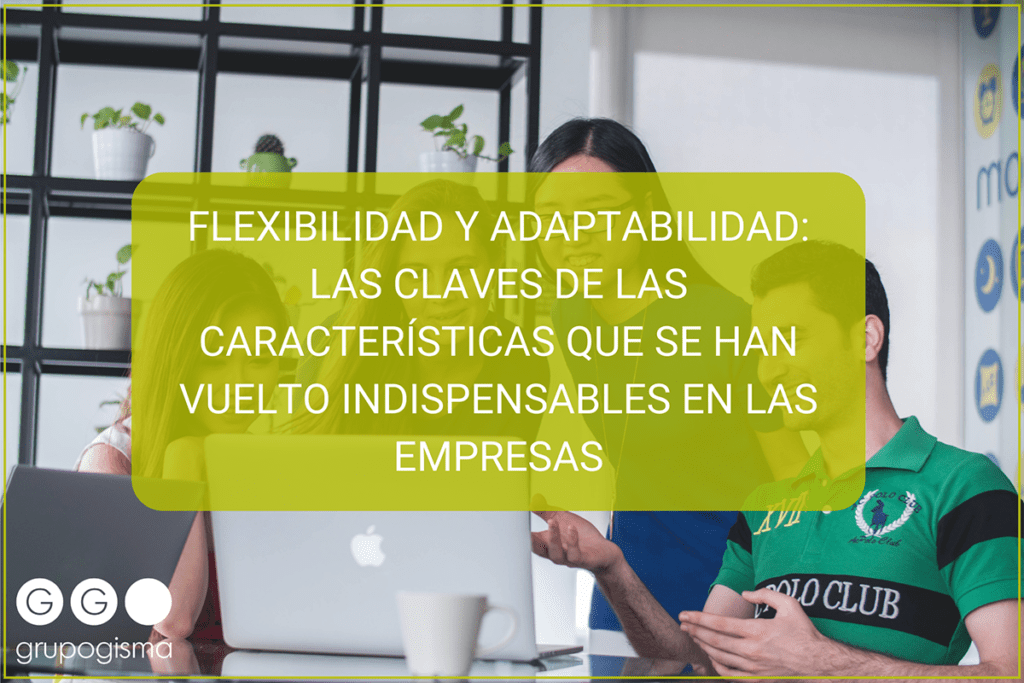 FLEXIBILIDAD Y ADAPTABILIDAD: LAS CLAVES DE LAS CARACTERÍSTICAS ...