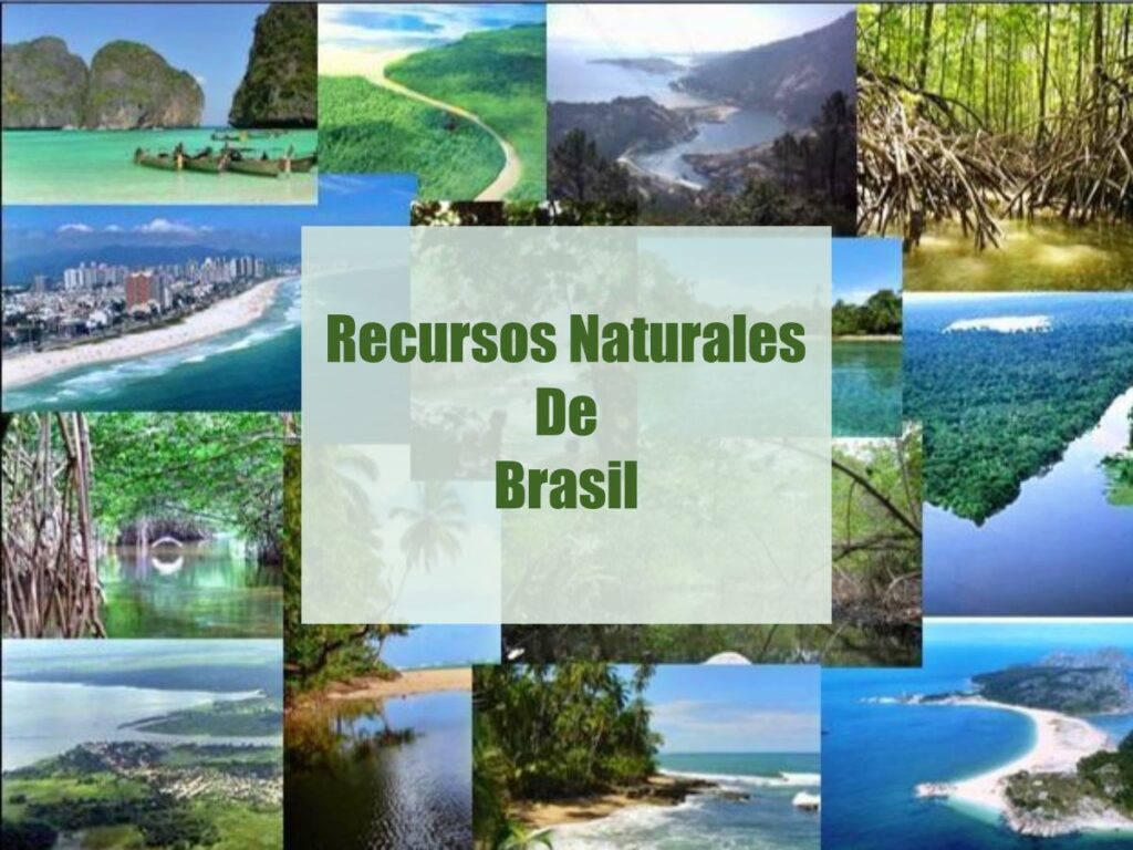 Recursos naturales de Brasil para el desarrollo sostenible